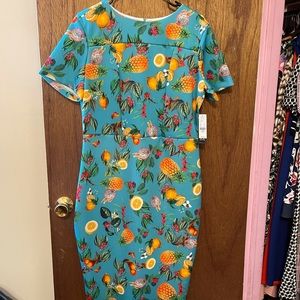 New York and Company.   Several dresses and pants